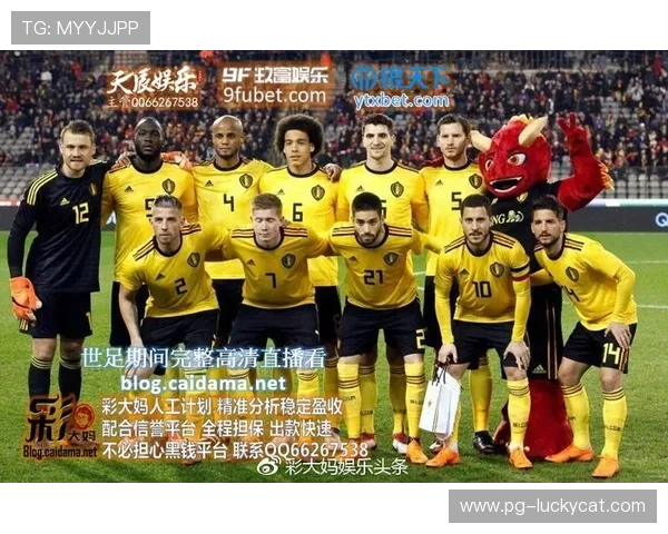 世界杯瑞典对突尼斯比赛门票购买攻略与最新购票渠道指南 世界杯瑞典对突尼斯比赛门票购买攻略与最新购票渠道指南